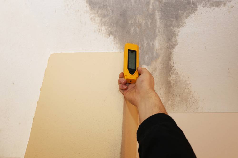 Humidité dans vos murs